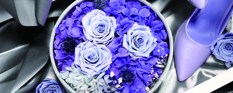 永生花一生只能送一次吗 永生花一生只能送一次吗