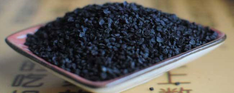 韭菜籽什么时候播种