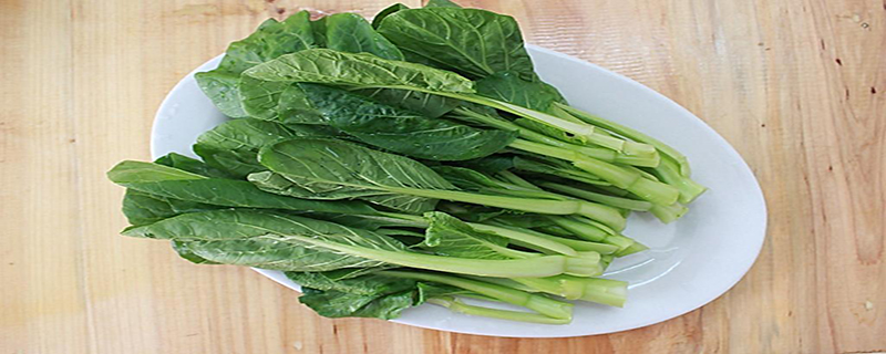 青菜有几种