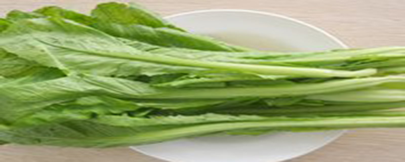 芥菜长什么样 芥菜长什么样