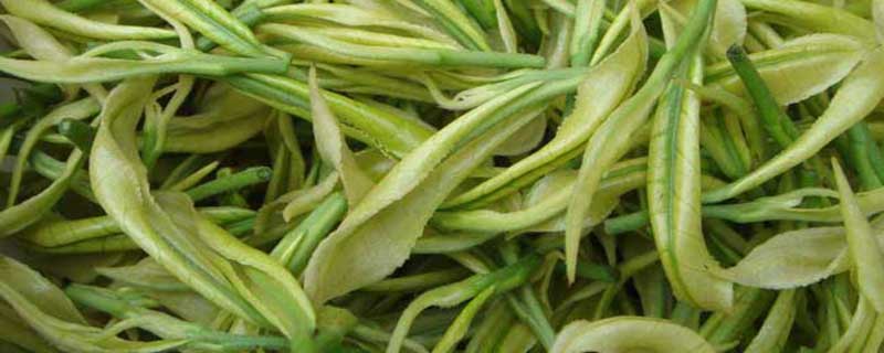 白茶分几种 白茶分几种