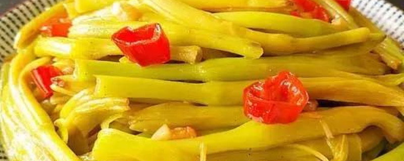 金针菜是什么菜 金针菜是什么菜
