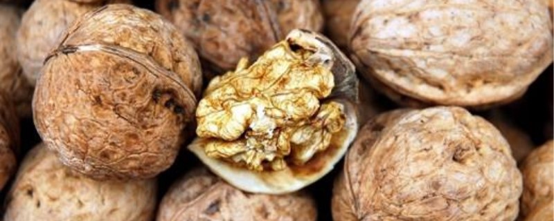 坚果食物有哪些 坚果食物有哪些