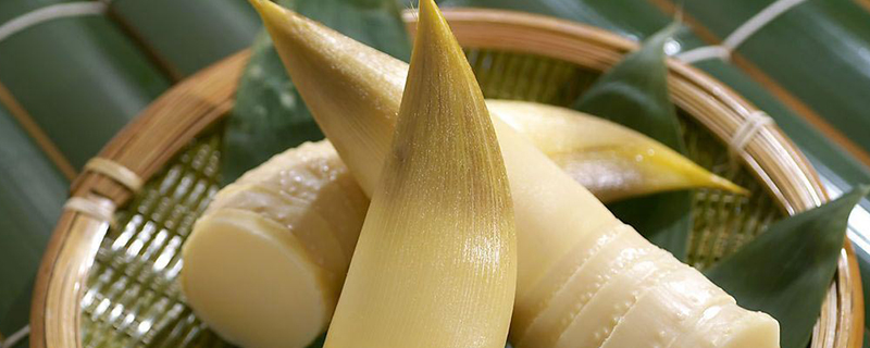 竹笋是菌类吗 竹笋是菌类吗