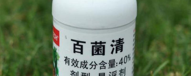 百菌清可以灌根吗 百菌清可以灌根吗