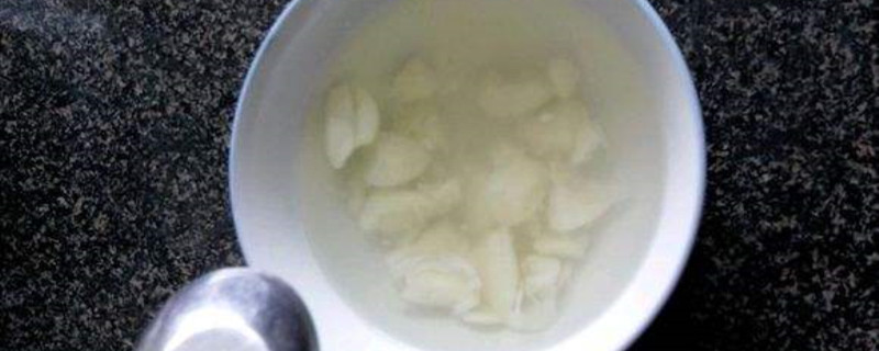 自制多肉杀虫剂 自制多肉杀虫剂