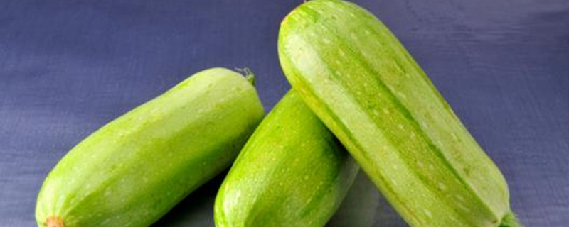 北方春天种什么菜 北方春天种什么菜