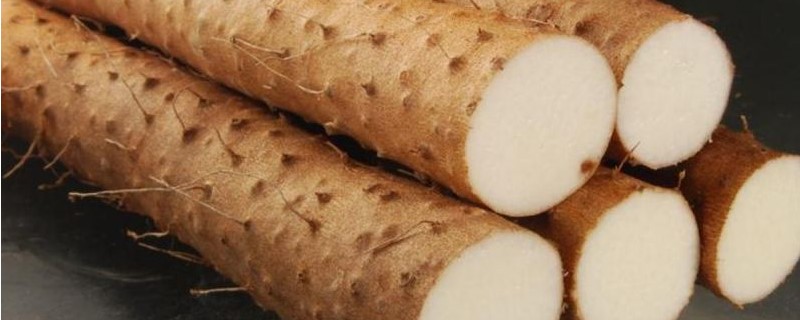 种山药用什么肥料 种山药用什么肥料