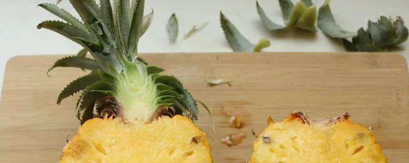 种菠萝头用什么水 种菠萝头用什么水