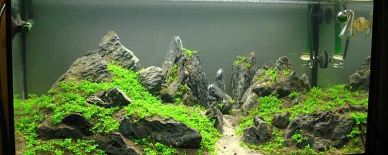 25缸经典造景 25缸经典造景