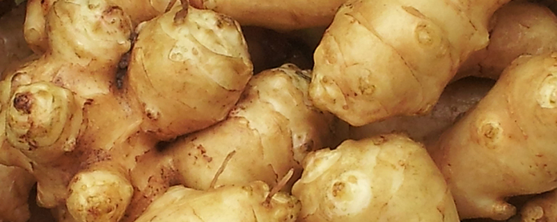 不用浇水的蔬菜 不用浇水的蔬菜