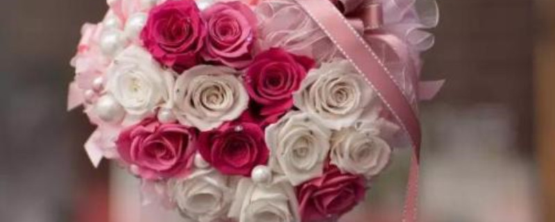 永生花花语含义 永生花花语含义
