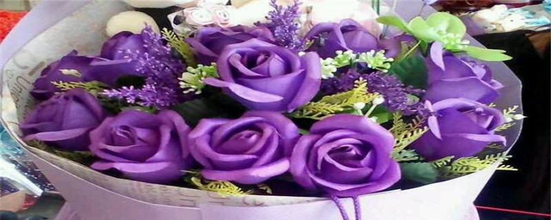 淡紫色玫瑰花语是什么 淡紫色玫瑰花语是什么