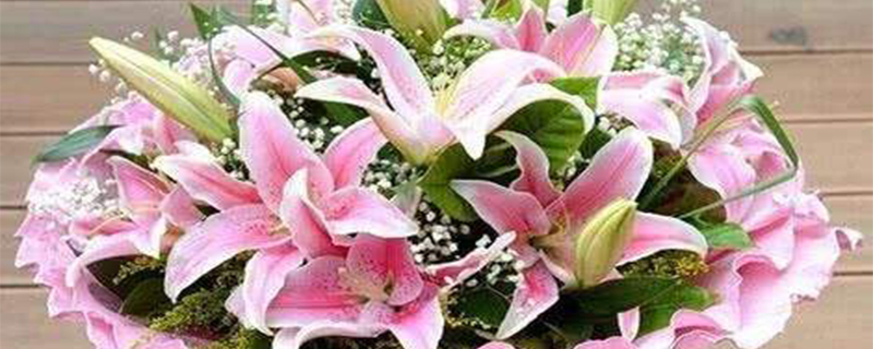 水仙百合花期多长时间