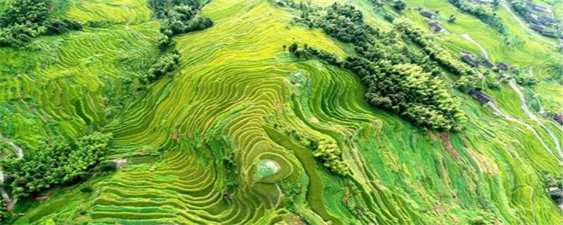 紫鹊界梯田观赏的最佳季节 紫鹊界梯田观赏的最佳季节