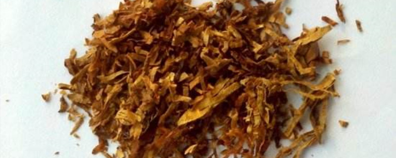 烟丝泡水杀虫有效果吗 烟丝泡水杀虫有效果吗