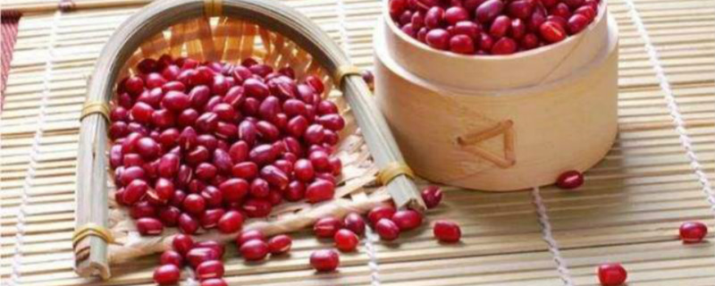 红豆代表什么 红豆代表什么