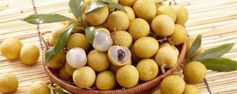 广东特色水果 广东特色水果