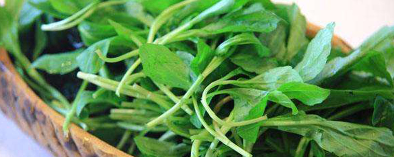 马兰头是什么菜