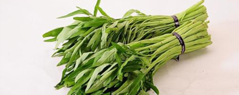 空心菜催芽方法 空心菜催芽方法