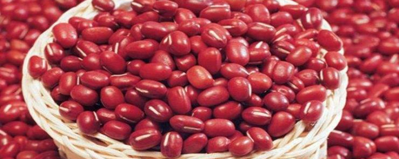红小豆什么时候播种 红小豆什么时候播种