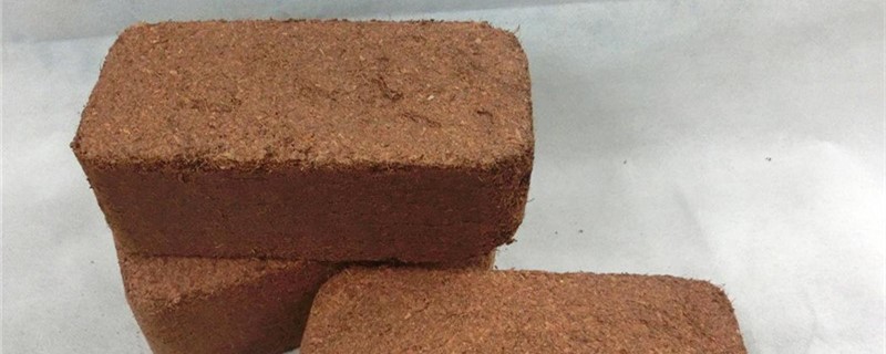 用椰砖种花好吗 用椰砖种花好吗