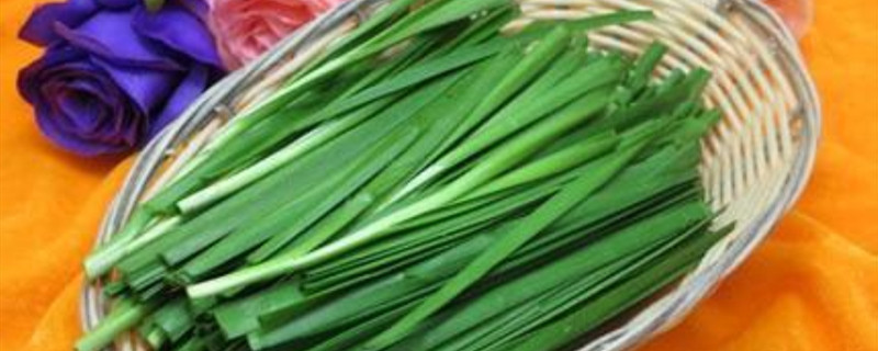艽菜怎样种 艽菜怎样种