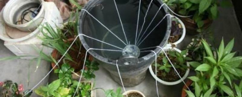 一个月不在家怎么浇水 一个月不在家怎么浇水