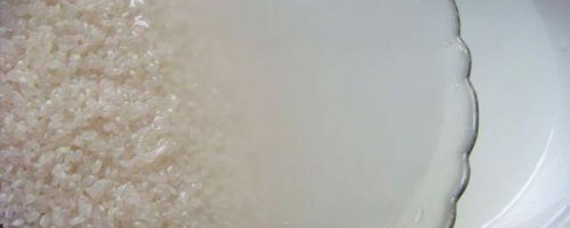 生活中有什么东西可以施肥 生活中有什么东西可以施肥