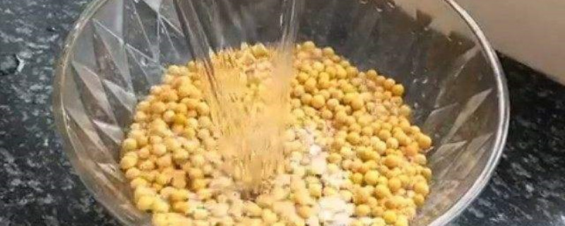 什么东西可以给植物施肥 什么东西可以给植物施肥