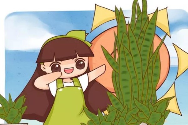给花浇点它,蹭蹭冒新芽,盆都撑爆了! 给花浇点它,蹭蹭冒新芽,盆都撑爆了!