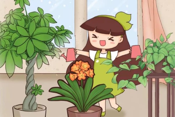 10个养花的坏习惯,赶紧改,不然真是浪费钱! 10个养花的坏习惯,赶紧改,不然真是浪费钱!