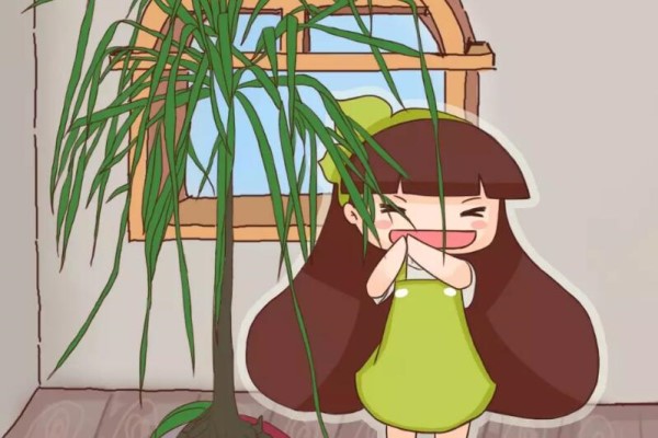 这花有个大肚子,里面全是水,1个月不浇照样活! 这花有个大肚子,里面全是水,1个月不浇照样活!