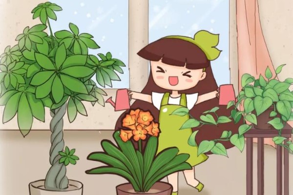 这花就得穷养,花盆越小、越长得旺! 这花就得穷养,花盆越小、越长得旺!
