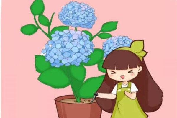 土里埋个废铁钉,养花再也不黄叶,疯长不要命! 土里埋个废铁钉,养花再也不黄叶,疯长不要命!