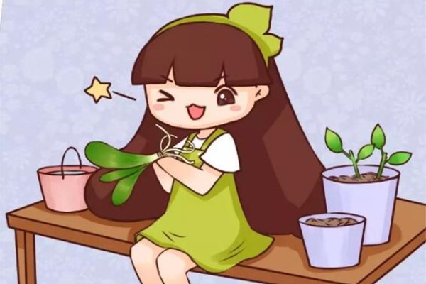养花1盆变10盆,根本不用扦插,100%成活! 养花1盆变10盆,根本不用扦插,100%成活!