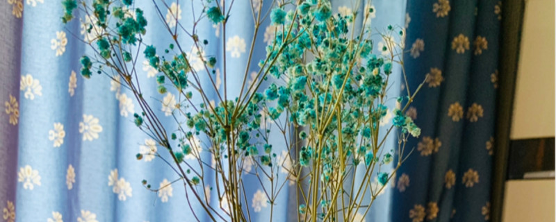 干花需要插在水里吗