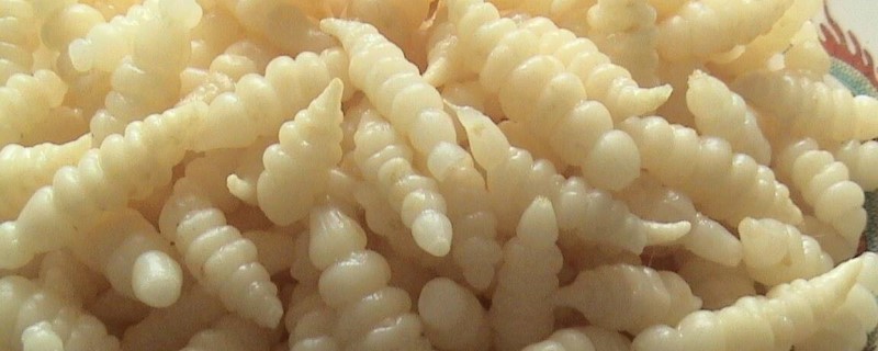 宝塔菜长什么样子 宝塔菜长什么样子