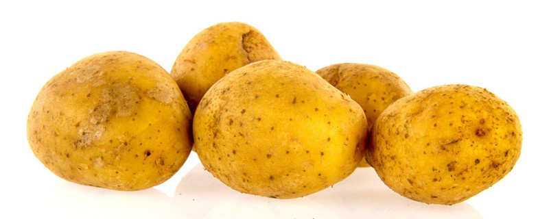 秋土豆催芽播种方法 秋土豆催芽播种方法