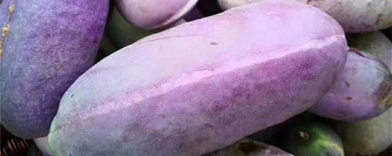 如何保存八月瓜 如何保存八月瓜
