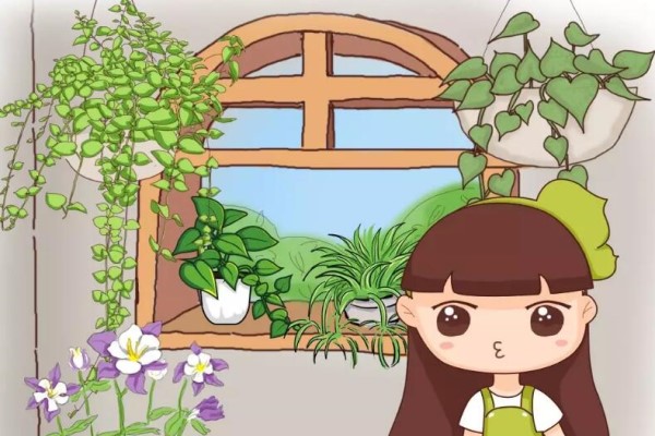 6种能养成高价盆景的植物,在家养几年,价格翻10倍! 6种能养成高价盆景的植物,在家养几年,价格翻10倍!
