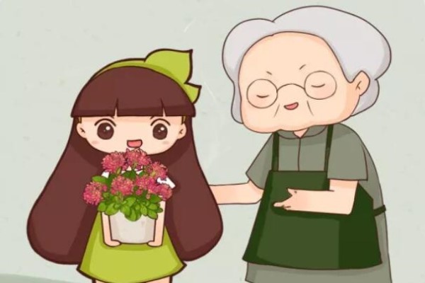 年纪大了,就养这6种寿星花,健康养身心! 年纪大了,就养这6种寿星花,健康养身心!