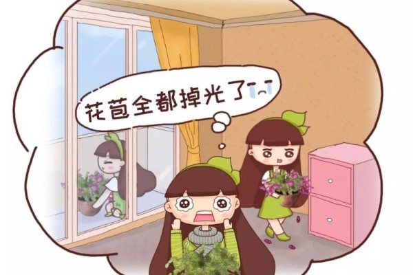 10月养花,这3点没注意,容易把花养死! 10月养花,这3点没注意,容易把花养死!