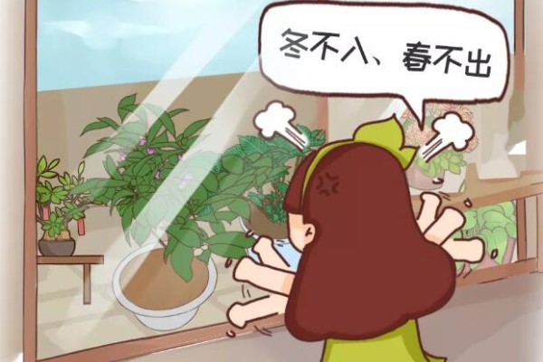 这6种花,千万别往屋里搬,外面冻俩月,花开才更旺! 这6种花,千万别往屋里搬,外面冻俩月,花开才更旺!