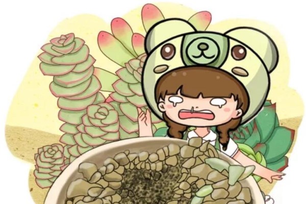 在家养花,千万不能用这土,养一盆死一盆! 在家养花,千万不能用这土,养一盆死一盆!