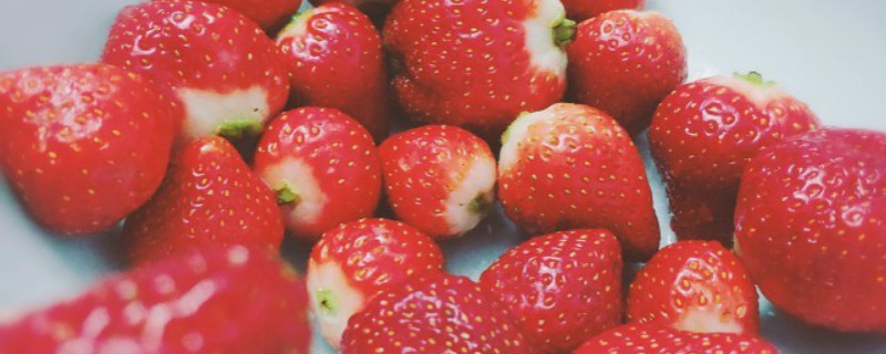 章姬草莓特点 章姬草莓特点