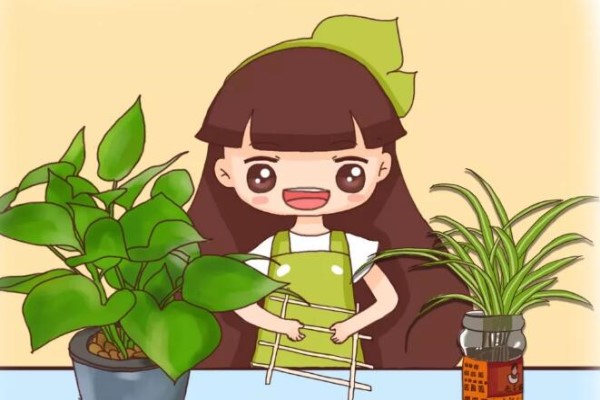 旧筷子、老干妈瓶别扔,拿来养花有大用处! 旧筷子、老干妈瓶别扔,拿来养花有大用处!
