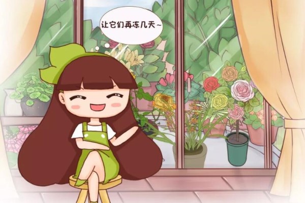 这花别往屋里搬,放外面冻20天,明年开花才旺! 这花别往屋里搬,放外面冻20天,明年开花才旺!