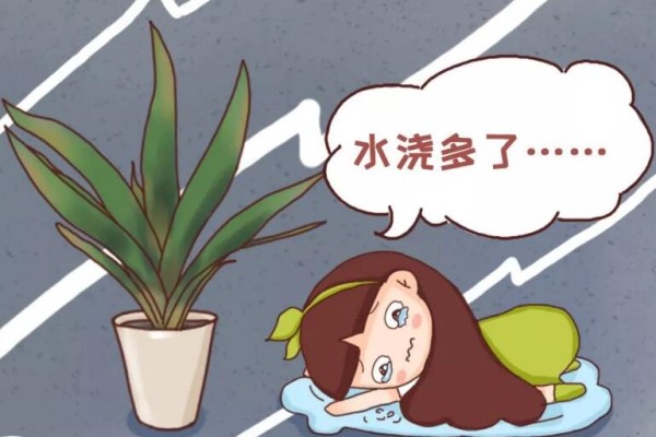 8种花秋冬要穷养,千万别乱浇水,一浇就烂根! 8种花秋冬要穷养,千万别乱浇水,一浇就烂根!