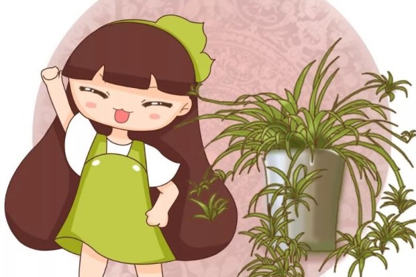 秋冬这花会结种,摘一把撒土里,呼呼长一片,能卖不少钱! 秋冬这花会结种,摘一把撒土里,呼呼长一片,能卖不少钱!